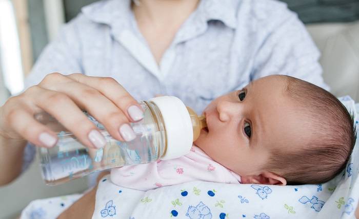 A Parents Guide to Hipp vs. Holle Baby Formula
