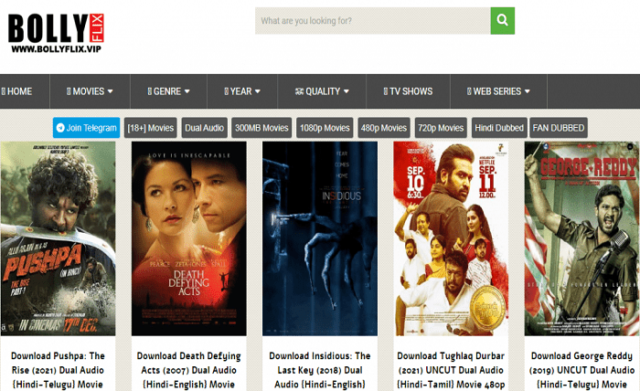 Bollyflix Free Download and Watch Movies Anime Web Series and TV Shows