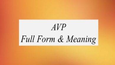 AVP Full Form What Does AVP Mean in Banking