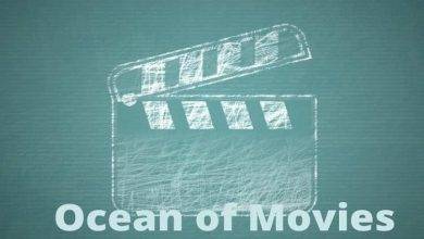 Is it Legal to Download Movies From Ocean of Movies Website