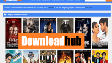 The DownloadHub Bollywood Apk Review
