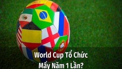 Information Answer Corner World Cup How Many Years Once