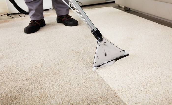 Why Should One Start Carpet Cleaning Service Business