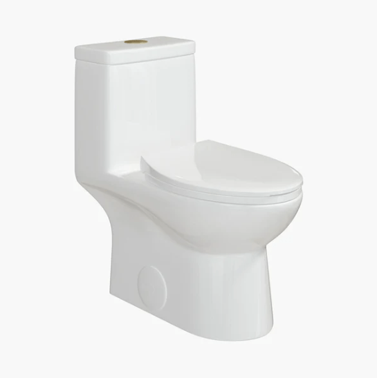 Explore the Advantages of the Horow HWMT-138 Toilet