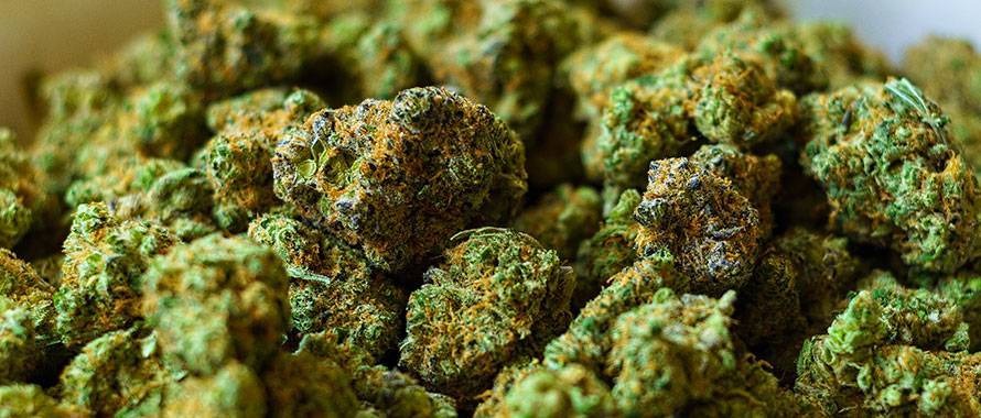 A Look at Illinois Cannabis Dispensaries in 2025